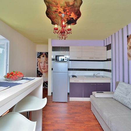 Apartments Carpe Diem Novigrad  Eksteriør billede