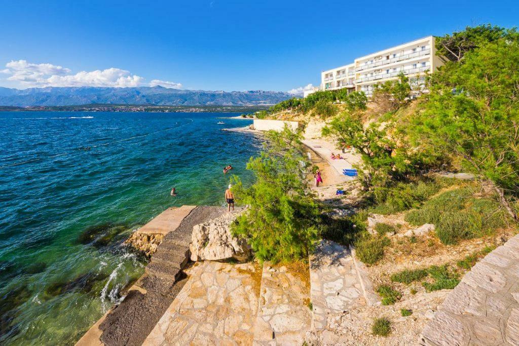 Apartments Carpe Diem Novigrad  Eksteriør billede
