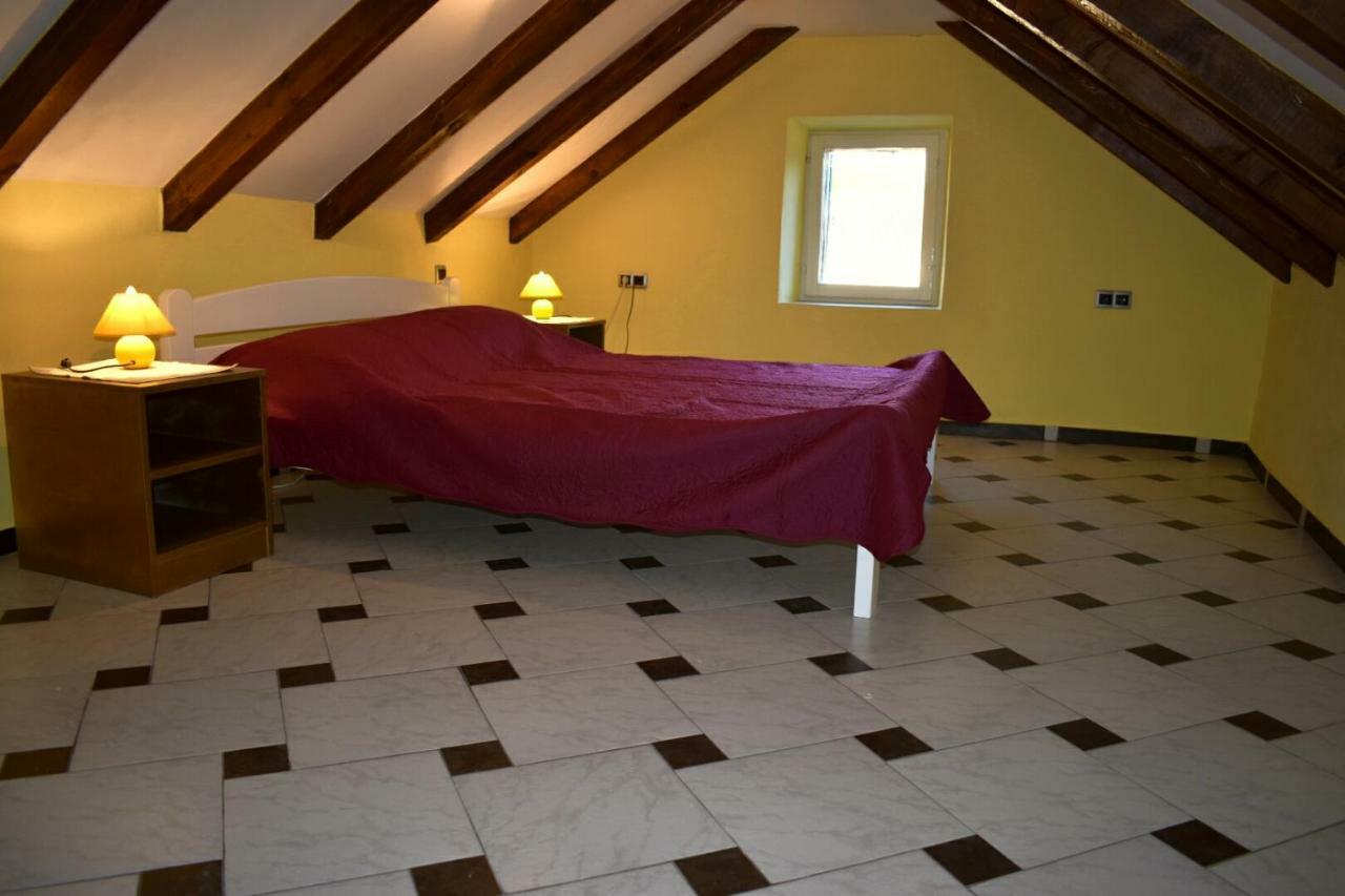 Apartments Carpe Diem Novigrad  Eksteriør billede
