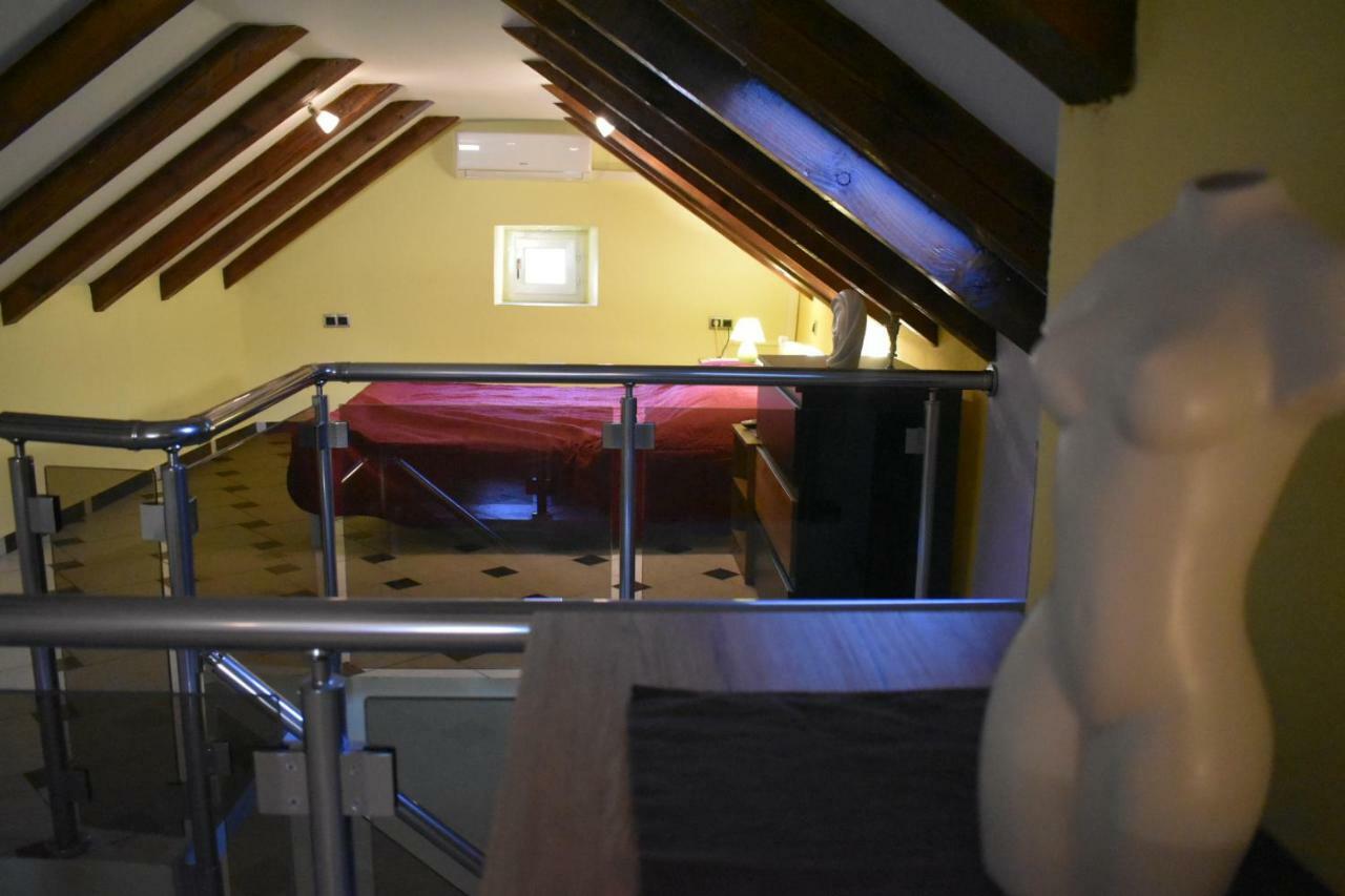 Apartments Carpe Diem Novigrad  Eksteriør billede